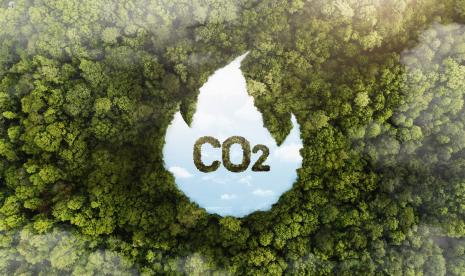 Riset Australia: Kimia Darah Manusia Bergeser Seiring Naiknya CO2 Udara