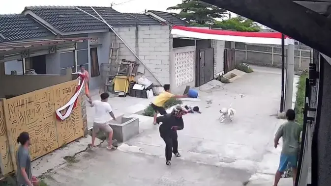 Aturan Kepemilikan Anjing Ras Kuat di Tengah Kasus Bandung