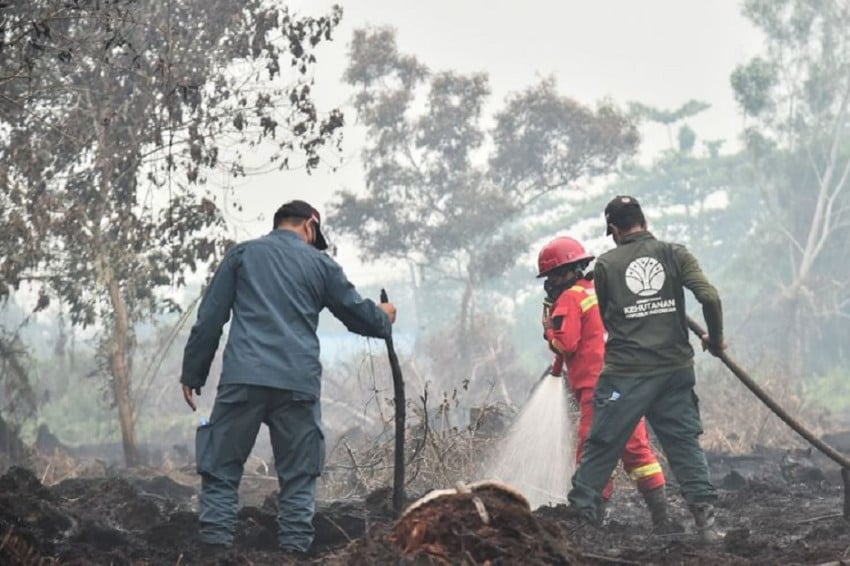 Operasi Karhutla Diperluas di Enam Provinsi, Hotspot Tinggi Masih Mendominasi
