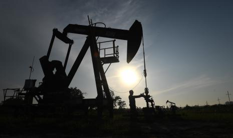 Pakar Ekonomi Tekankan Koordinasi Lintas Lembaga untuk Amankan Aset Blok Rokan